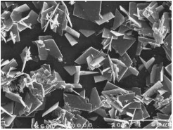 Отложения сульфата бария на обратноосмотической мембране - при увеличении видны ромбические кристаллы